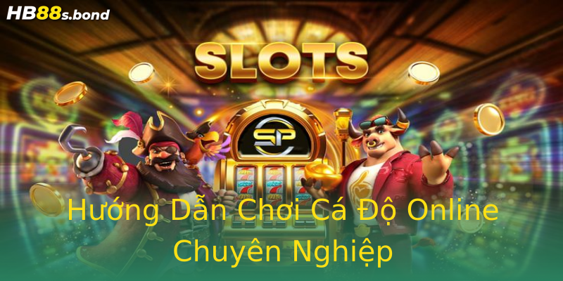 Hướng Dẫn Chơi Cá Độ Online Chuyên Nghiệp Hướng Dẫn Chơi Cá Độ Online Chuyên Nghiệp