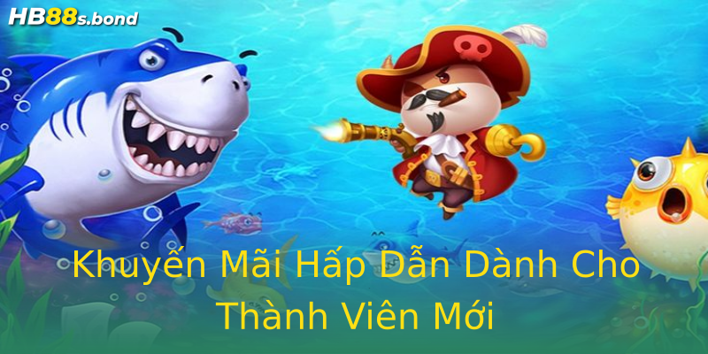 Khuyến Mãi Hấp Dẫn Dành Cho Thành Viên Mới Khuyến Mãi Hấp Dẫn Dành Cho Thành Viên Mới