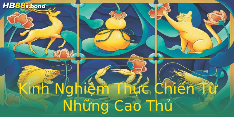 Kinh Nghiệm Thực Chiến Từ Những Cao Thủ Kinh Nghiệm Thực Chiến Từ Những Cao Thủ