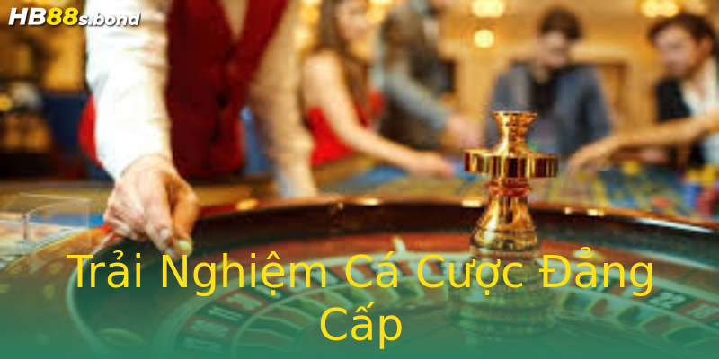 Trải Nghiệm Cá Cược Đẳng Cấp Trải Nghiệm Cá Cược Đẳng Cấp
